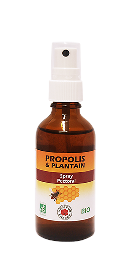 Propolis Plantain - Spray pectoral - Bio* - Vecteur Energy