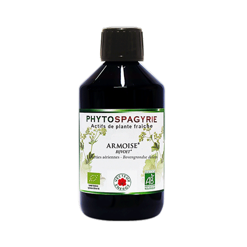 Armoise - Bio* - 300 ml - Phytospagyrie - Extrait de plante - Vecteur Energy