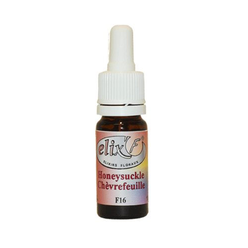 ELIX'F N°16 - Chèvrefeuille / Honeysuckle - 10 ml - Elixir floral - Fleur de Bach - Vecteur Energy