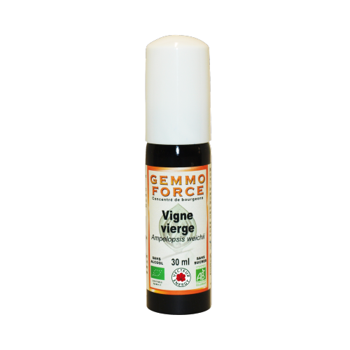 GemmoForce Vigne Vierge - sans sucre - sans alcool - Bio - 30 ml - Gemmothérapie - Vecteur Energy