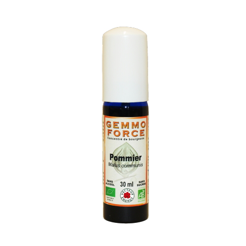 GemmoForce Pommier - sans sucre - sans alcool - Bio - 30 ml - Gemmothérapie - Vecteur Energy