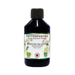 Renoue du Japon - 300 ml - Phytospagyrie - Extrait de plante biologique* - Vecteur Energy