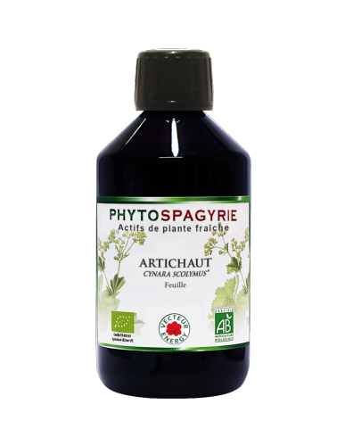 Artichaut - Bio* - 300 ml