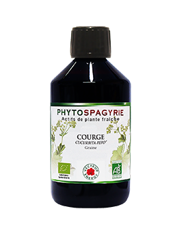 Courge - Bio* - 300 ml - Phytospagyrie - Extrait de plante - Vecteur Energy