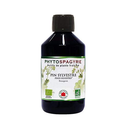 Pin sylvestre Bourgeon - 300 ml - Phytospagyrie - Extrait de plante biologique* - Vecteur Energy