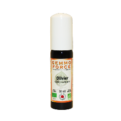 GemmoForce Olivier - sans sucre - sans alcool - Bio - 30 ml - Gemmothérapie - Vecteur Energy