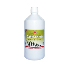 Gastraneth - Sirop - 1litre - Bio* - Complment alimentaire - Vecteur Energy