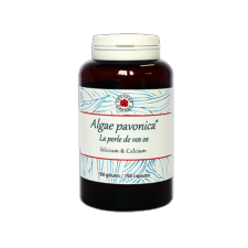 Algae padina pavonica - 150 glules - Algothrapie - Vecteur Energy