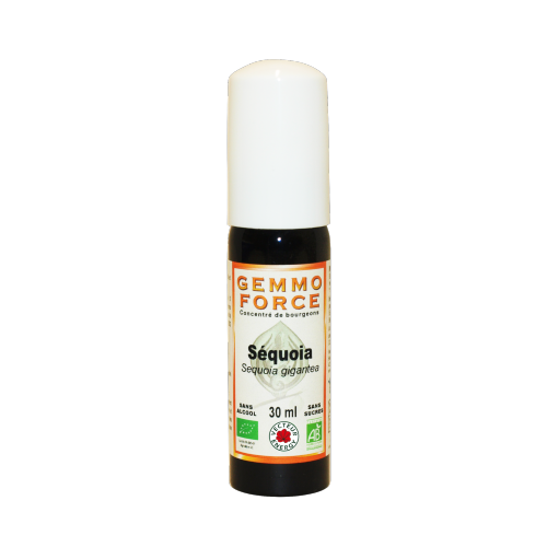 GemmoForce Séquoia - sans sucre - sans alcool - Bio - 30 ml - Gemmothérapie - Vecteur Energy