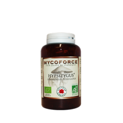 Hypsizygus- 180 gélules - Bio* -  Mycoforce - Poudre de champignon - Vecteur Energy