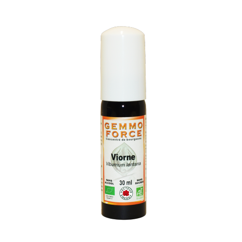 GemmoForce Viorne - sans sucre - sans alcool - Bio - 30 ml - Gemmothérapie - Vecteur Energy