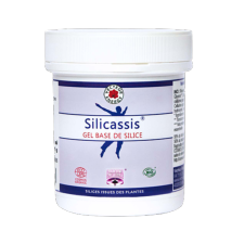 Silicassis Gel base de silice Bio** - 100 g - Silicium - Vecteur Energy
