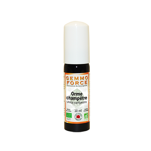 GemmoForce Orme Champêtre - sans sucre - sans alcool - Bio - 30 ml - Gemmothérapie - Vecteur Energy