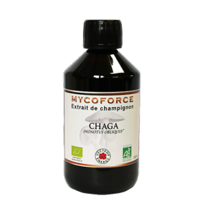 Chaga- 300 ml - Bio* - Mycoforce - Extrait de champignon - Vecteur Energy
