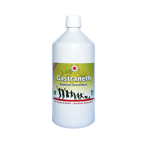 Gastraneth - Sirop - 1litre - Bio* - Complément alimentaire - Vecteur Energy