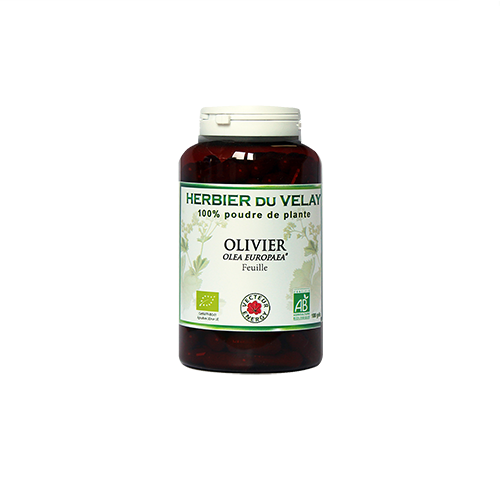 Olivier - Bio* - 180 gélules de plante - Phytothérapie - Vecteur Energy