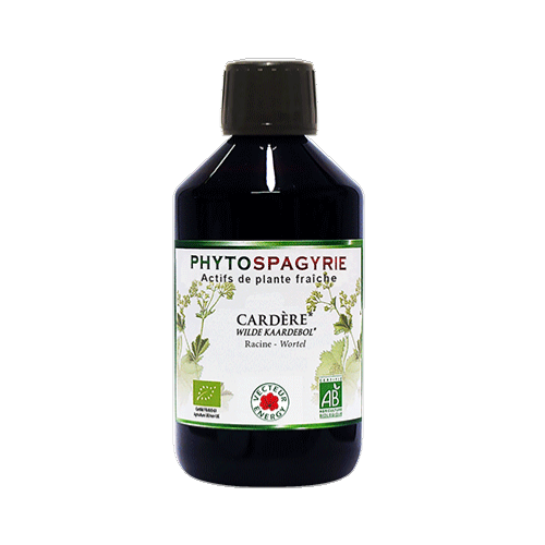 Cardère - Bio* - 300 ml - Phytospagyrie - Extrait de plante - Vecteur Energy