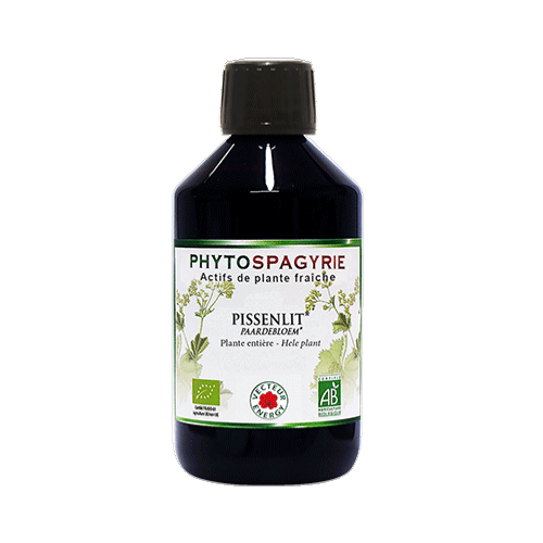 Pissenlit - 300 ml - Phytospagyrie - Extrait de plante biologique* - Vecteur Energy