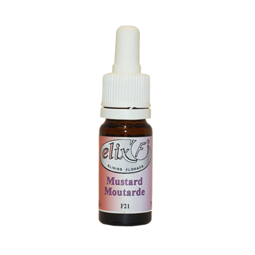 ELIX'F N°21 - Moutarde / Mustard - 10 ml - Elixir floral - Fleur de Bach - Vecteur Energy