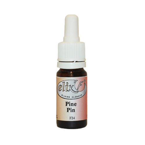 ELIX'F N°24 - Pin / Pine - 10 ml - Elixir floral - Fleur de Bach - Vecteur Energy