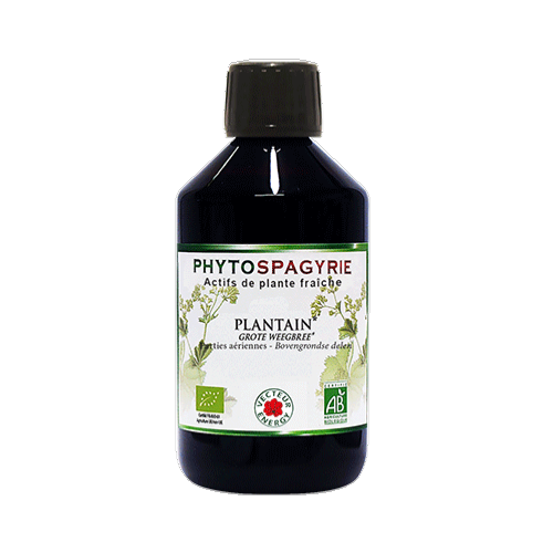 Plantain - 300 ml - Phytospagyrie - Extrait de plante biologique* - Vecteur Energy