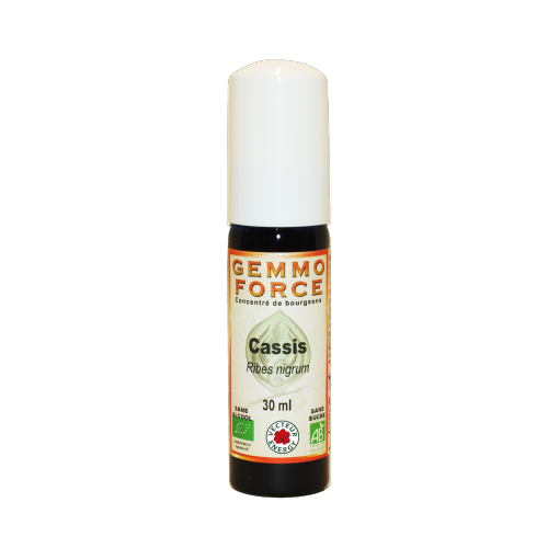 GemmoForce Cassis - sans sucre - sans alcool - Bio - 30 ml - Gemmothérapie - Vecteur Energy