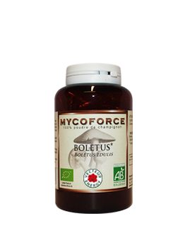 Boletus- 180 gélules - Bio* -  Mycoforce - Poudre de champignon - Vecteur Energy