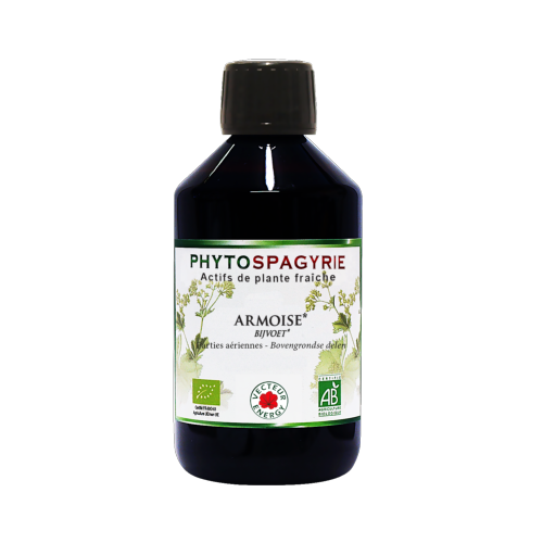 Armoise - Bio* - 300 ml - Phytospagyrie - Extrait de plante - Vecteur Energy