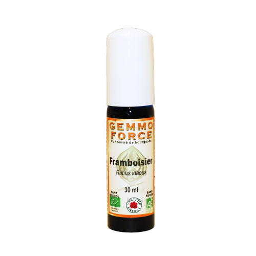GemmoForce Framboisier - sans sucre - sans alcool - Bio - 30 ml - Gemmothérapie - Vecteur Energy
